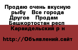 Продаю очень вкусную рыбу - Все города Другое » Продам   . Башкортостан респ.,Караидельский р-н